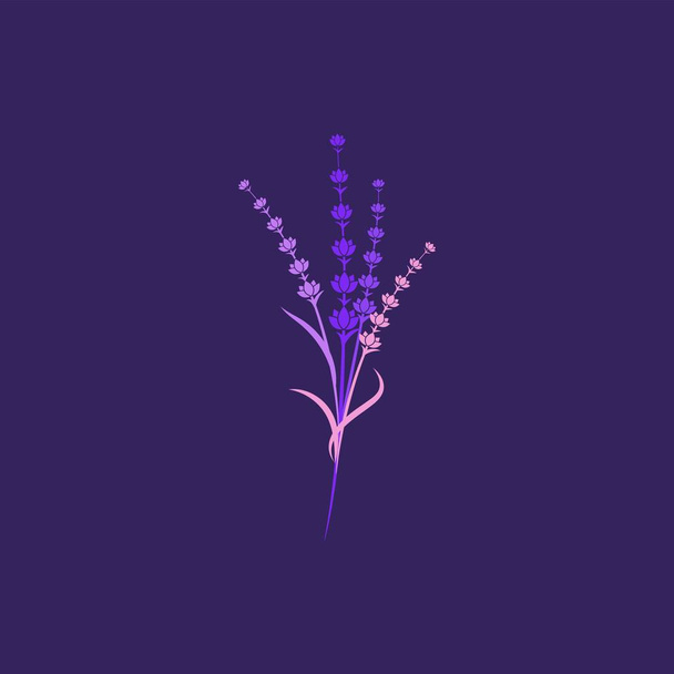 Ikona levandule květiny Vektor ilustrace - Vektor, obrázek