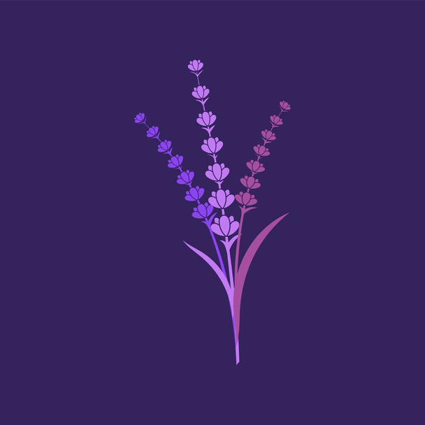 Lavendel Blume Vektor Symbol Illustration - Vektor, Bild