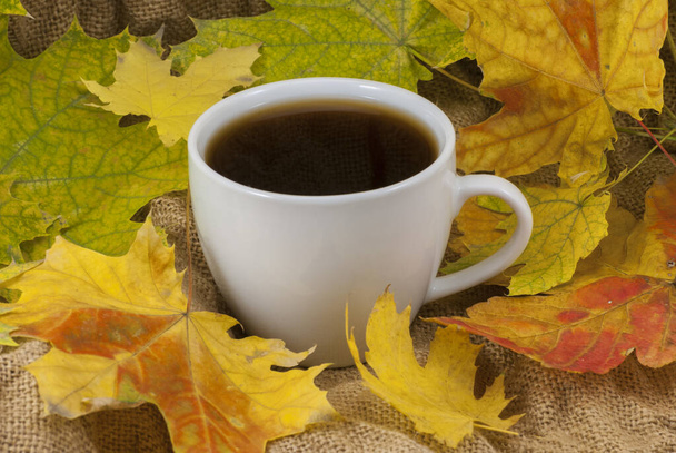 Composición de otoño. Taza de café, hojas secas de fondo. Otoño concepto elegante. De cerca.
 - Foto, imagen