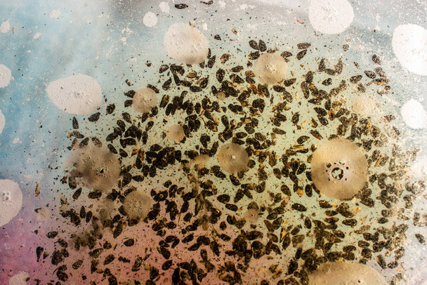 Macro tiro de bolhas de óleo sobre fundo colorido
 - Foto, Imagem