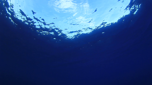 Onderwaterachtergrond met zonnestralen, waterachtergrond - Video