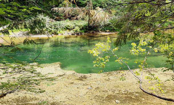 Smaragdově zelený bazén a pestrobarevné listy v nedotčené skalnaté vodě řeky Lewis v letním období Skamania County a Gifford Pinchot National Forest ve státě Washington. - Fotografie, Obrázek