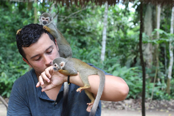 Beaux singes interagissant avec le jeune homme
  - Photo, image