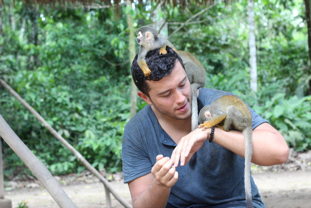 Красиві мавпи взаємодіють з молодим чоловіком
  - Фото, зображення