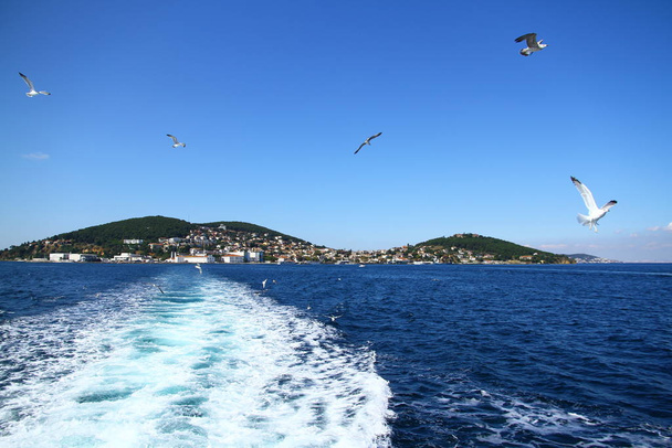 Вид на море с Принцевых островов, Стамбул
. - Фото, изображение