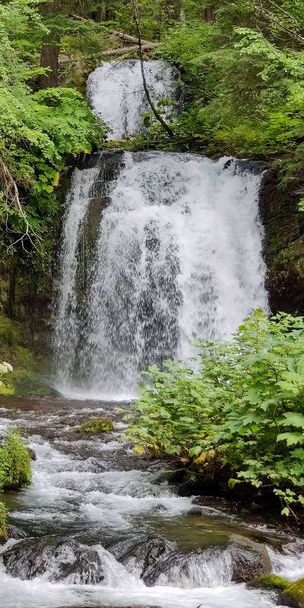 Dech beroucí dva stupňovité Twin Falls v bujném deštném pralese s kameny a balvany a čisté horské vody kaskádovité v Gifford Pinchot National Forest Skamania County Washington State - Fotografie, Obrázek