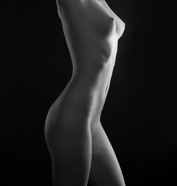 Beautiful female body - Photo, image
