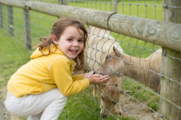 Niño alimentando a una cabra
 - Foto, Imagen