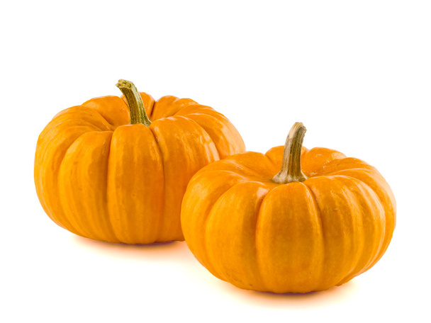 Mini Pumpkins Isolated on a White Background - Photo, Image