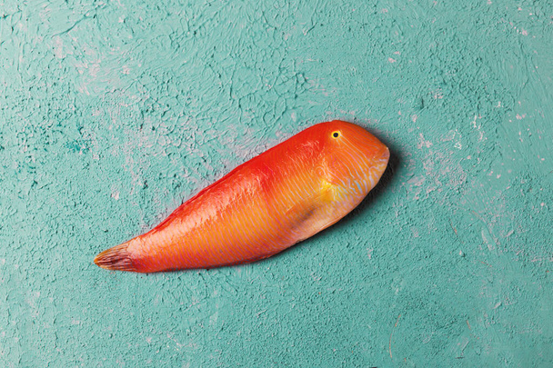 Belo peixe tropical vermelho Pearly razorfish em um fundo de cor turquesa ou tiffany. Xyrichtys novacula. Composição dos peixes
 - Foto, Imagem