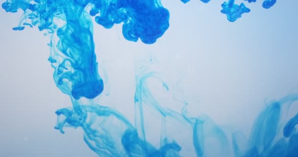 Beyaz arka planda suya mavi renkli mürekkep damlıyor. Su altında mürekkep bulutu akıyor. Soyut izole bulutlu duman patlaması - Video, Çekim