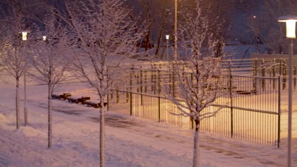 Panorama of a park covered with fresh snow after a snowfall. People playing on the playground. Snow illuminated by the light of street lamps. Fresh snow after snowfall - Metraje, vídeo