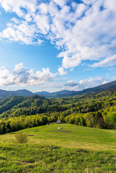 Carpathians countryside in springtime - Fotografie, Obrázek