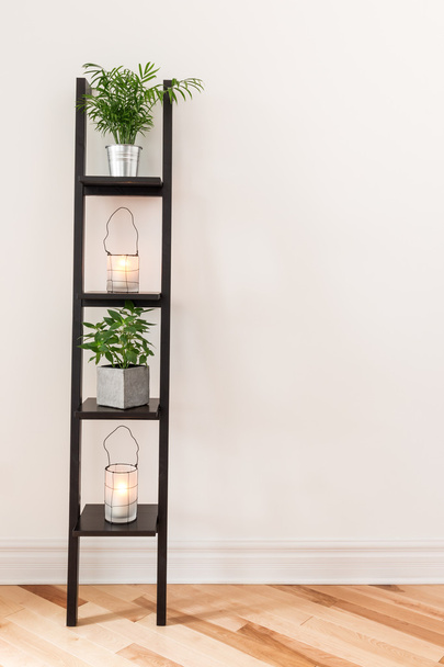 Shelf with plants and lanterns - Photo, Image