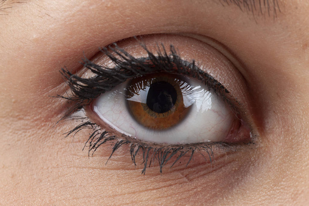 μεγάλα καστανά μάτια μιας γυναίκας με μακιγιάζ - Φωτογραφία, εικόνα