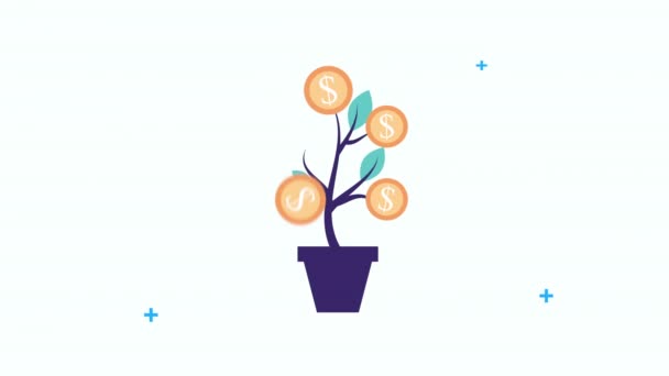 plant of coins dollars economy - 映像、動画