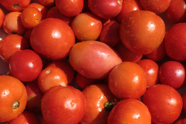 Στενές κόκκινες πλυμένες ντομάτες - Φωτογραφία, εικόνα