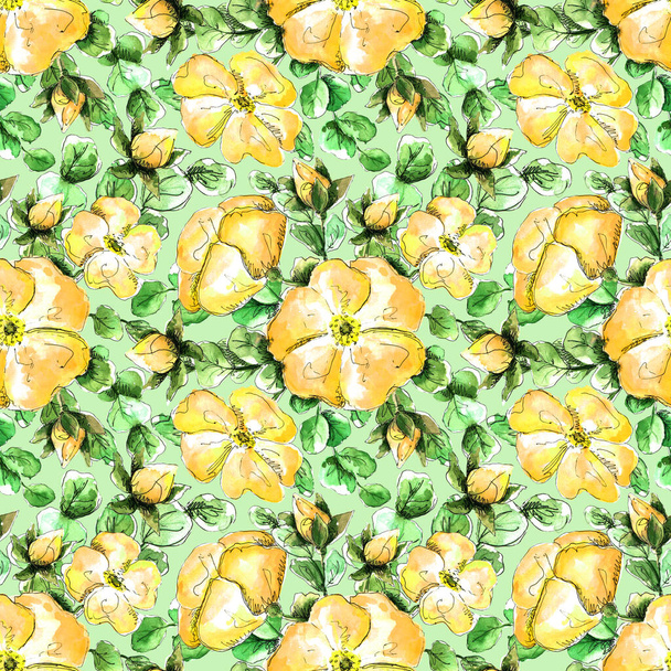 Seamless watercolor pattern with hand-drawn yellow wild rose flowers for your print and textile design. butter yellow flowers and buds, green rosehip leaves on a green background - Φωτογραφία, εικόνα