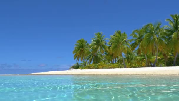 FAIBLE ANGLE : Une nature tropicale vibrante recouvre l'île sablonneuse intacte du Pacifique. - Séquence, vidéo