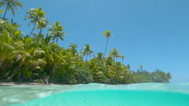 Slow Motion: Prachtige opname van serene paradijs eiland kustlijn op zonnige dag. - Video