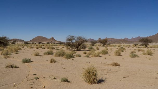Landscape of Sahara desert - Foto, afbeelding