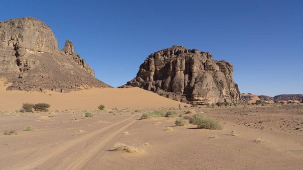 Landscape of Sahara desert - Valokuva, kuva