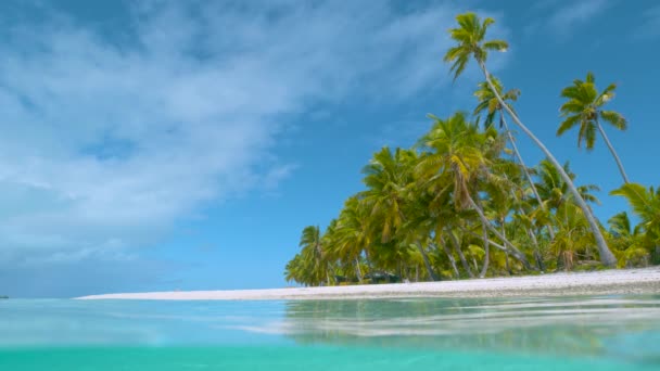 LOW ANGLE: Crystal clear ocean water surrounds the untouched exotic island. - Footage, Video