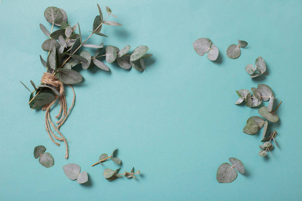 eucalyptus leaves on paper background  - Фото, изображение