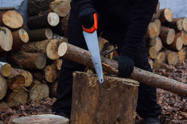 Homme sciant du bois pour le feu de camp dans la forêt. Scie à gros plan et bûcheron coupant les arbres à la main à l'extérieur
. - Photo, image
