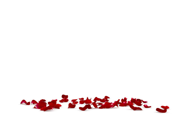 pétalos de rosa caen maravillosamente en el suelo
 - Foto, imagen