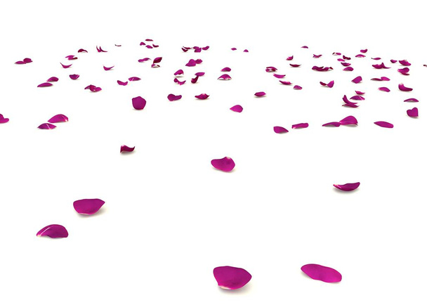 Rózsaszirmok szétszórva a padlón. - Fotó, kép