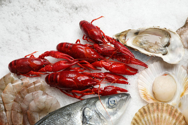 Fresh fish and seafood on ice, flat lay - Foto, afbeelding