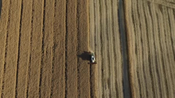 View From Above of a Crop Field Being Harvested by a Farming Truck - 映像、動画