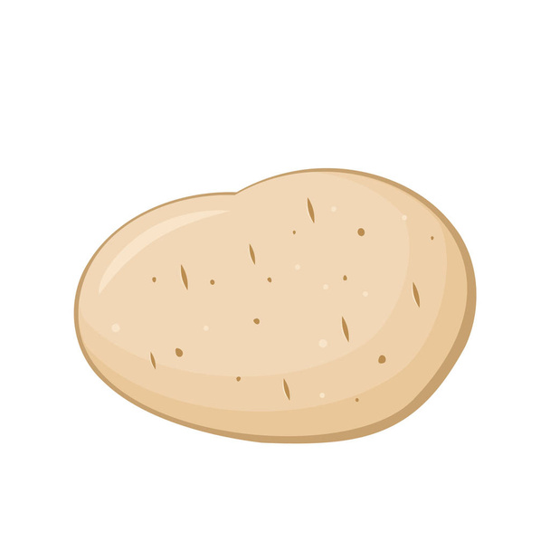 Jonge aardappel. Cartoon aardappel geïsoleerd op witte achtergrond. Rauwe gele aardappel. Witte aardappel groente icoon. Een knol aardappelen. Moderne leuke verse yam groente. Vector illustratie, platte stijl, clip art - Vector, afbeelding