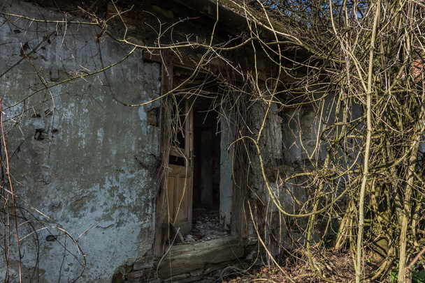 open entrance of a overgrown house in the mountains - Foto, afbeelding