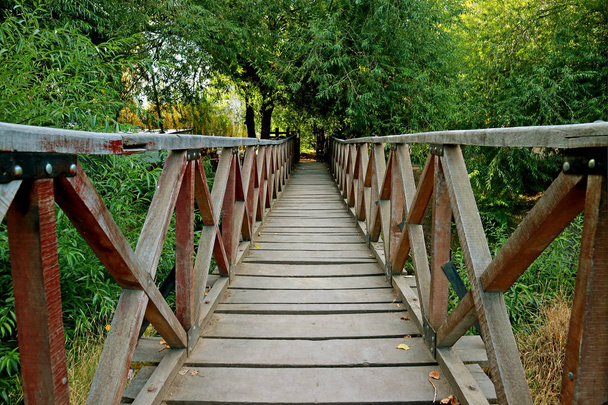 Drewniany most przez rzekę wśród zielonych liści w El Calafate, prowincja Santa Cruz, Patagonia, Argentyna - Zdjęcie, obraz