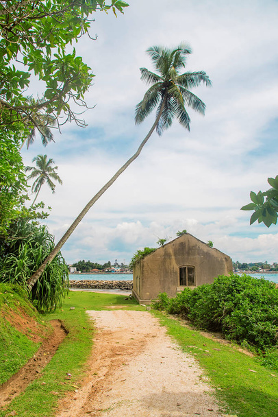 Шри-Ланка - остров с маяком. Селективный фокус
. - Фото, изображение