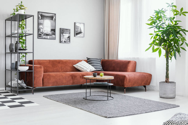 Scandinavian style in spacious living room with comfortable brown corner sofa - Fotoğraf, Görsel