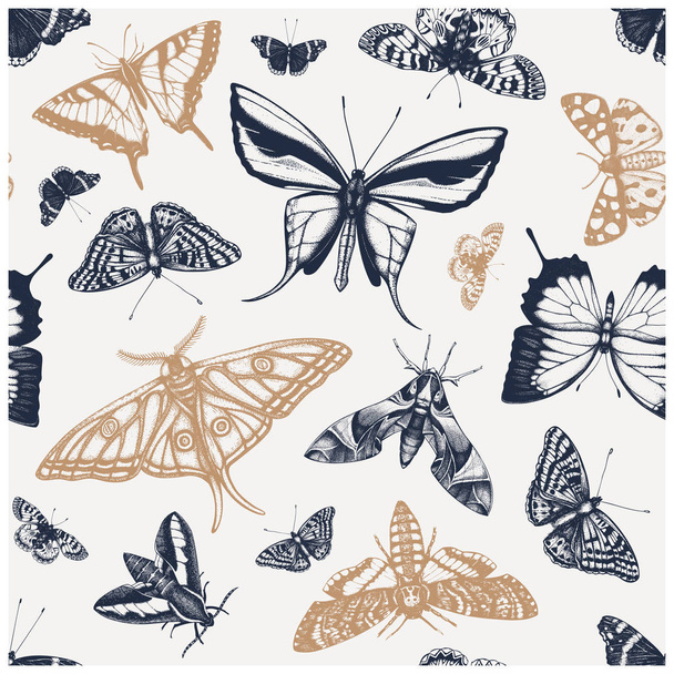 Hand drawn butterflies seamless pattern. High detailed insects backdrop in vintage style. Engraved butterflies entomological background. - Вектор, зображення