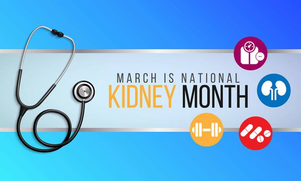 Vector illustration on the theme of National Kidney Month of March. - Vector, Image