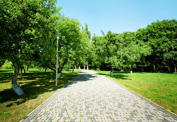 Stone path - Foto, Imagen