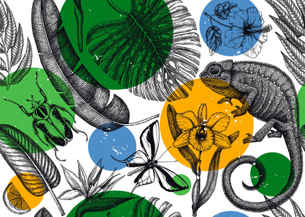 Tropical seamless pattern. Vector backdrop with hand drawn tropical plants, exotic flowers, palm leaves, insects and chameleon. Vintage wildlife background. Summer design with tropical plants and animals. - Vektör, Görsel
