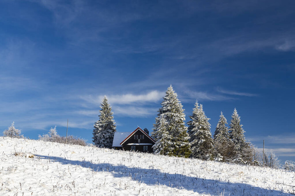 Orlicke Mountains in de winter, Tsjechië - Foto, afbeelding
