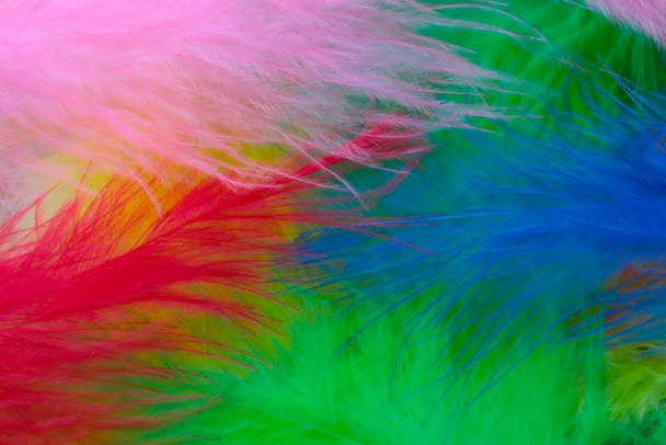 colorful feathers as a background - Photo, Image
