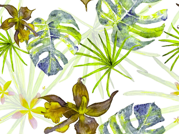 Orchid Seamless Pattern. - Photo, Image