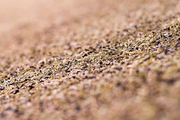 Texture of plastic artificial grass and the rubber pellets on yard - Photo, Image