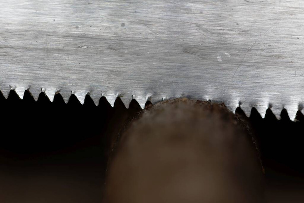 Macro foto van een zaag snijden een aftakking.  - Foto, afbeelding