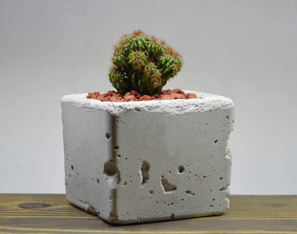 Cactus in handgemaakte potten op grijze achtergrond - Foto, afbeelding