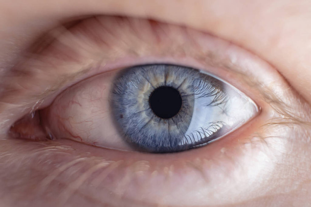 Close-up do olho, foto macro. A íris é cinza-azul. Espaço de cópia. O conceito de oftalmologia, pigmentação da íris. O olho olha para o sujeito iluminado
. - Foto, Imagem