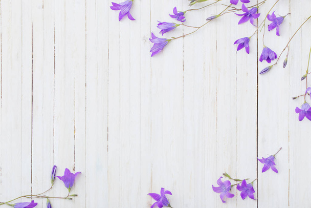 bluebell flores om branco fundo de madeira
 - Foto, Imagem